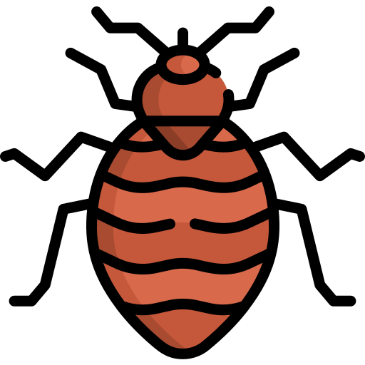 Bed Bug Control